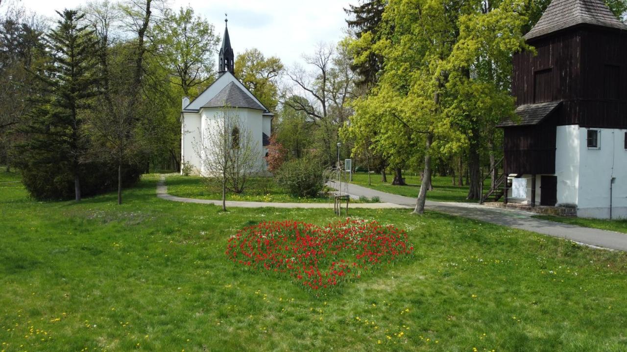 Homestay Poděbrady المظهر الخارجي الصورة