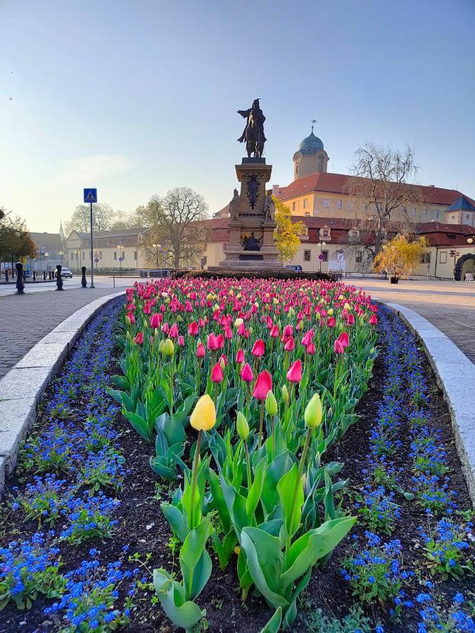 Homestay Poděbrady المظهر الخارجي الصورة