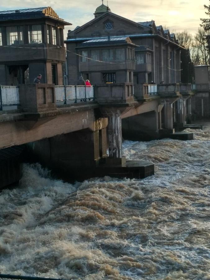 Homestay Poděbrady المظهر الخارجي الصورة
