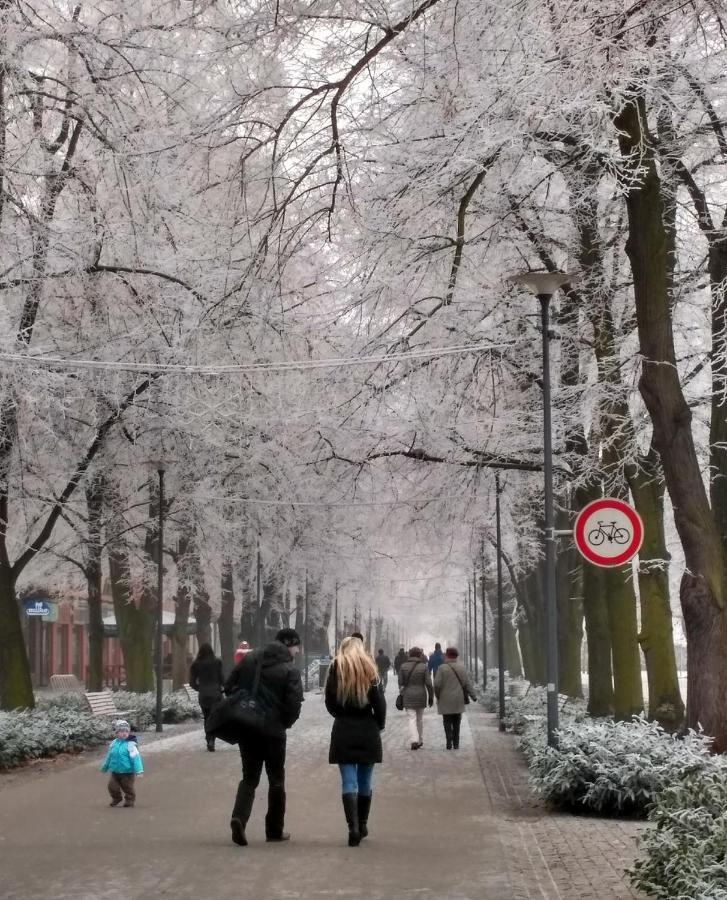 Homestay Poděbrady المظهر الخارجي الصورة