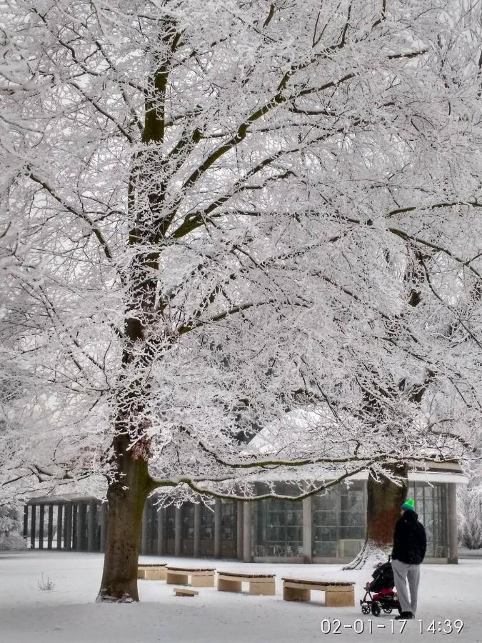 Homestay Poděbrady المظهر الخارجي الصورة
