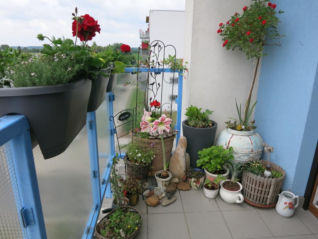 Homestay Poděbrady المظهر الخارجي الصورة