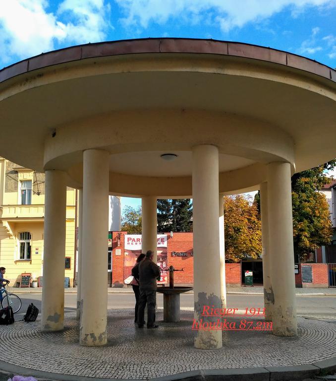 Homestay Poděbrady المظهر الخارجي الصورة